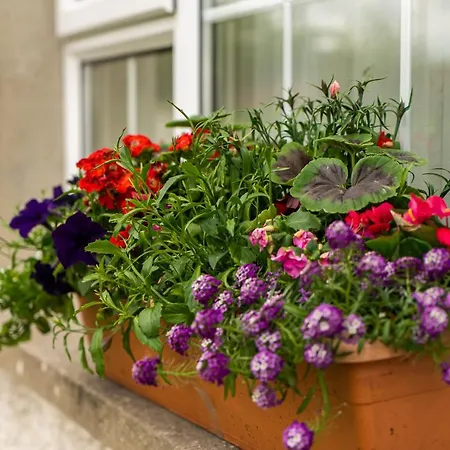 The Hawthorns, By Wild Atlantic Wanderer Appartement Buncrana