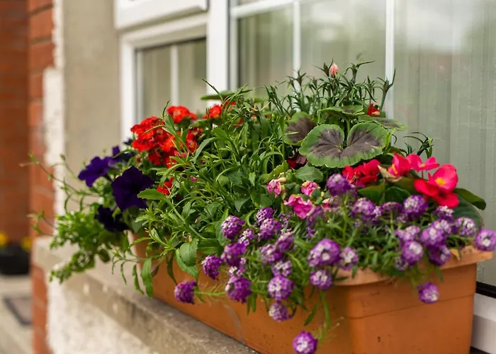 The Hawthorns, By Wild Atlantic Wanderer Appartement Buncrana